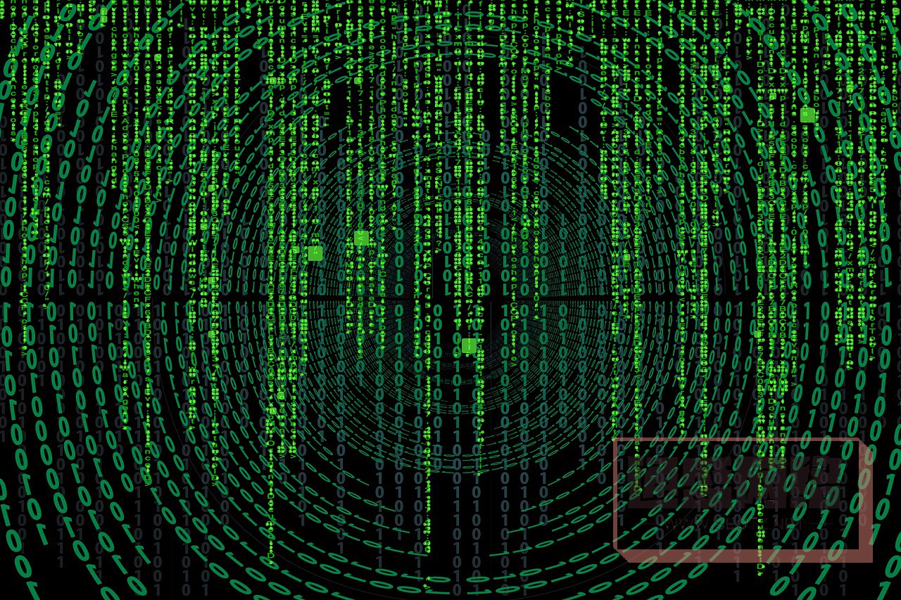 網(wǎng)絡(luò)營(yíng)銷李守洪排名大師是誰(shuí),網(wǎng)絡(luò)營(yíng)銷李守洪排名大師的成功之路